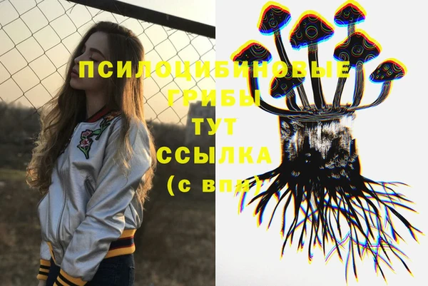 индика Алзамай
