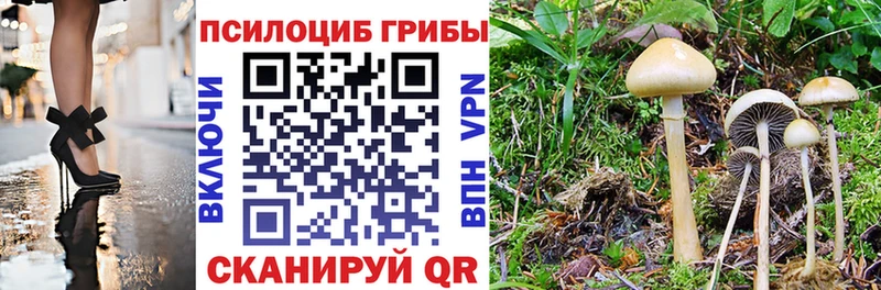Псилоцибиновые грибы мицелий Егорьевск
